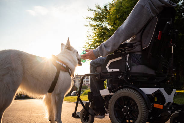 istock Man with disability and service dog 1358635045