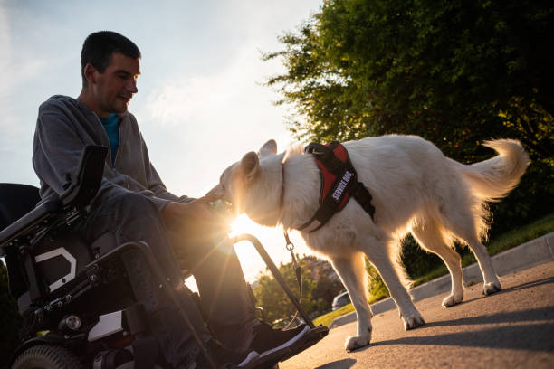 istock Man with disability and service dog 1358635046