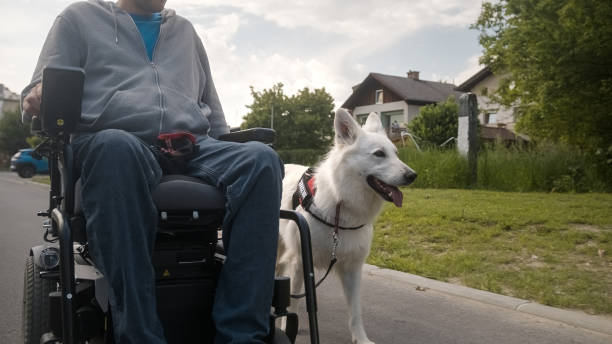 istock Man with disability and service dog 1358635079
