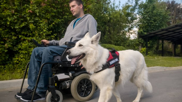 istock Man with disability and service dog 1358635080