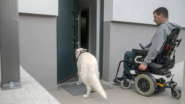 Service dog closing a home front door Man on electric wheelchair, and his assistance dog. A service dog closes a home front door by pulling a rope tied to a door pull handle. service dog stock pictures, royalty-free photos & images