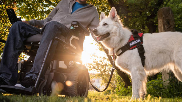 istock Man with disability and service dog 1358635098