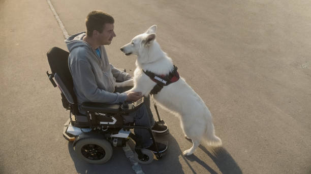 istock Man with disability and service dog 1358635101