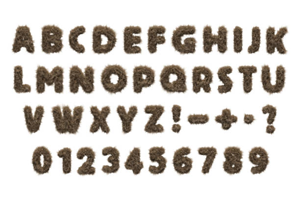 Brown teddy bear fur alphabet  isolated on white background