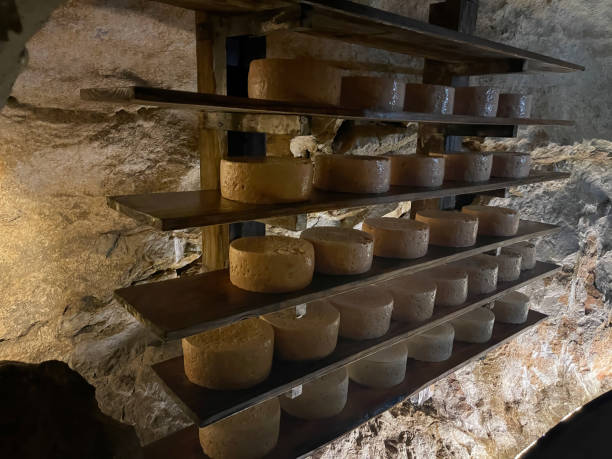 shelves full of cabrales cheeses in the process of maturation inside a cave, traditional cheese curing shelves full of cabrales cheeses in the process of maturation inside a cave, traditional cheese curing, Arenas de Cabrales, Asturias, Spain cultured cell stock pictures, royalty-free photos & images