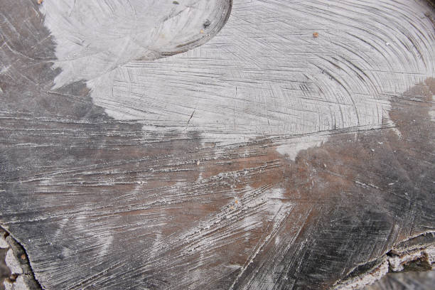 istock rings on an old tree stump, abstract wooden background 1358638724