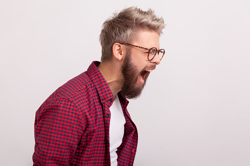 Profile of furious bearded man in eyeglasses and checkered red shirt screaming, expressing anger and irritation. Indoor studio shot isolated on gray background