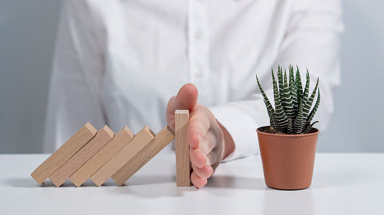 View of a female prevents wooden dominoes from falling. There is a plant on the table. Gray background. Insurance broker. White female.  Environmental Protection.
