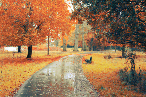 Autumn park in Den Bosch