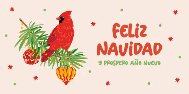 Vector illustration of Feliz Navidad vector modern lettering for Spanish Merry Christmas holiday card. Red cardinal and fir branch, christmas toys on beige background. Flat style illustration text for headers, website, poster, invitation.