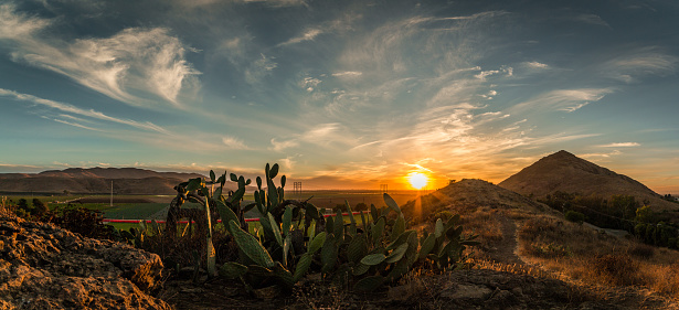 Sunset over cactus and a farm in California