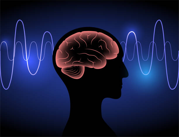 5,100+ Eeg Stock Photos, Pictures & Royalty-Free Images - iStock