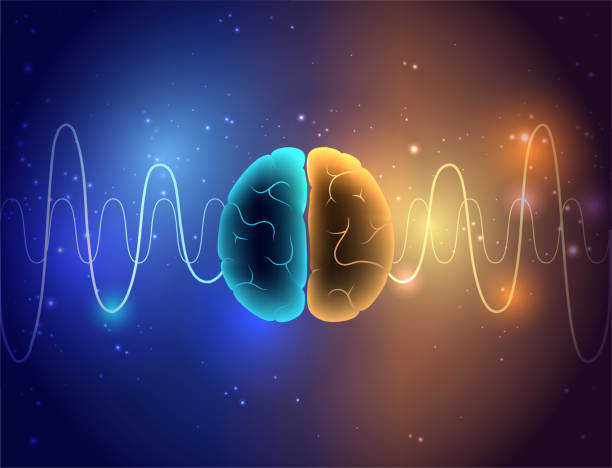 Brain wave 3D Brain wave on abstract background. Neural network concept. Limbic system and human brain anatomy. Digital science technology concept. Cerebral cortex and cerebrum medical poster 3D vector illustration cortex stock illustrations