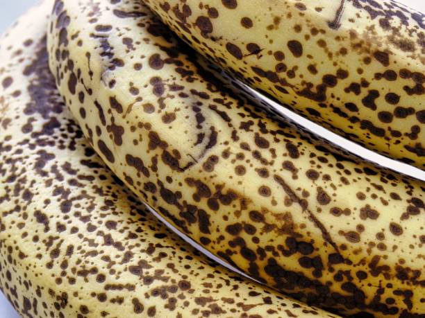 Closeup of ripe bananas on white background