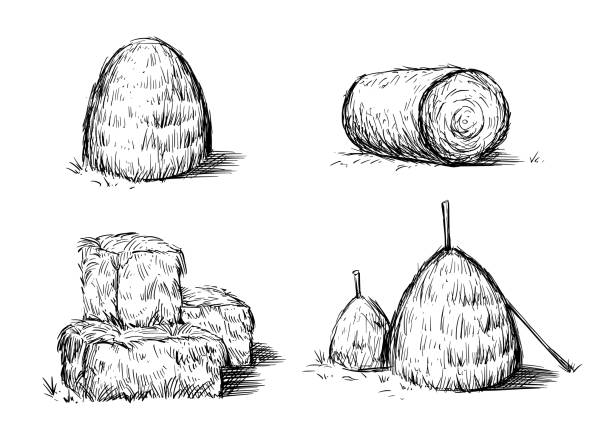 эскиз чертежа фермы тюков сена. нарисовано от руки - bale hay field stack stock illustrations