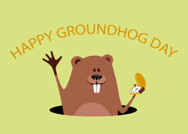 ilustraciones, imágenes clip art, dibujos animados e iconos de stock de feliz celebración del día de la marmota. divertida ilustración vectorial de dibujos animados con marmota. - groundhog day