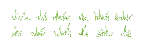 ilustrações, clipart, desenhos animados e ícones de vetor da linha de grama desenhado à mão, elementos de esboço prado e paisagem, gramado rabiscado, design de contorno de borda verde. ilustração da natureza - spring clover leaf shape clover sketch