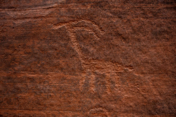 Long Necked Animal Petroglyph On Slickrock Wall
