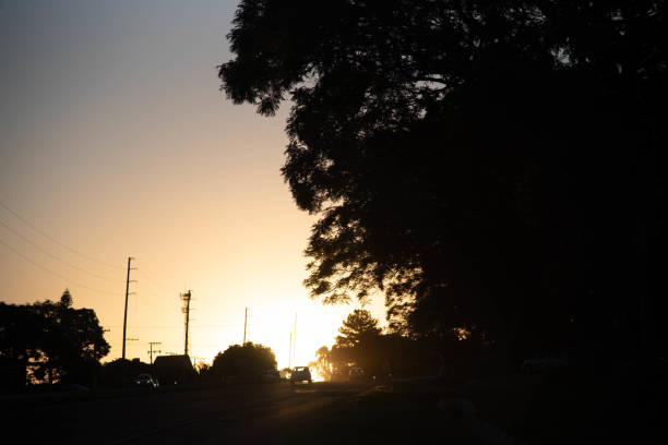 istock Sunset silhouette in rural landscape. 1358665137
