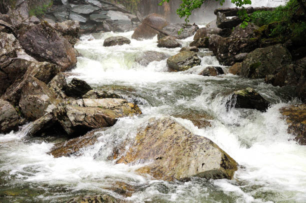 istock A stormy stream of a fast-moving river flows through a mountain hollow in a summer forest after a rain. 1358670928