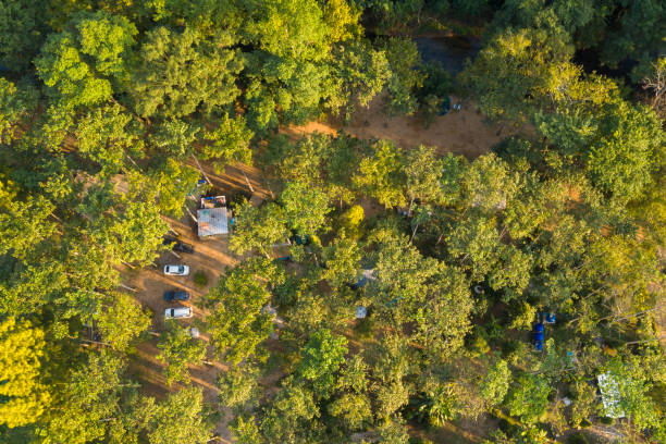 fotografía aérea con drones de un aparcamiento en el bosque - thailand forest outdoors winding road fotografías e imágenes de stock