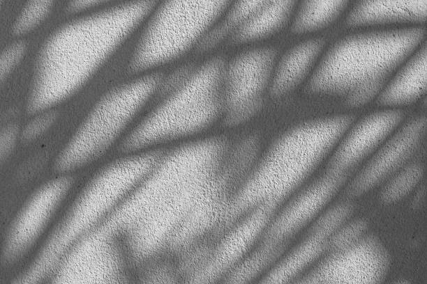 istock Black and White abstract background texture of shadows leaf on a concrete wall. 1358677245