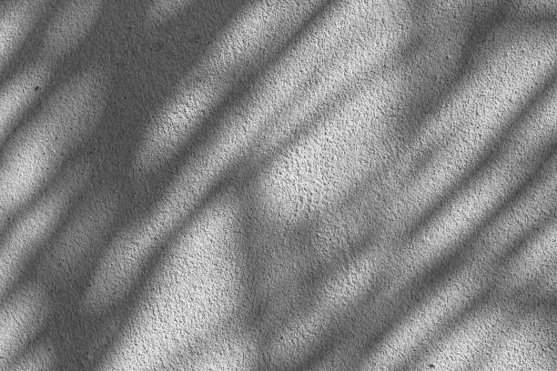 istock Black and White abstract background texture of shadows leaf on a concrete wall. 1358677425