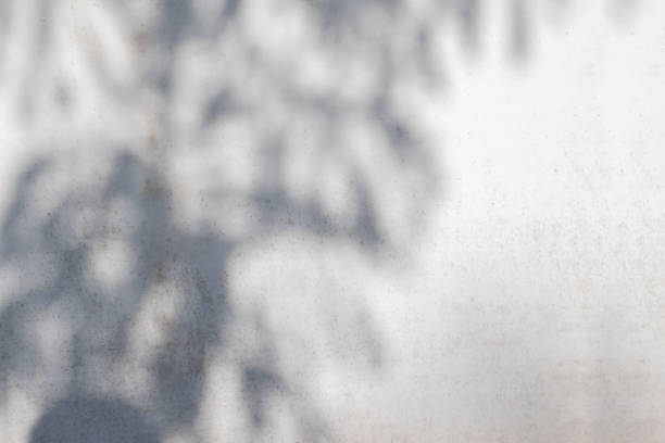 istock Minimal blur background of shadow leaves shape on the white wall with texture and copy space 1358678104