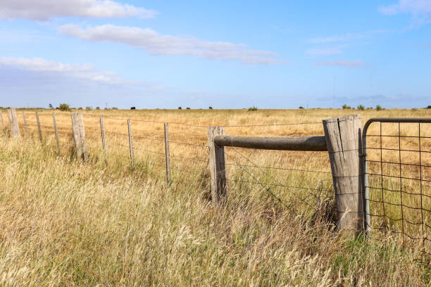 istock rural fence and gate in field 1358679147