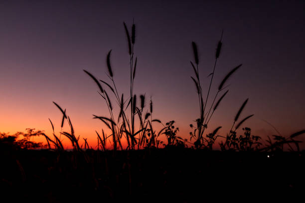 istock Beautiful Dramatic of sunset 1358680812
