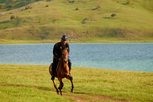 Horse and male rider wade in water along montana river bank