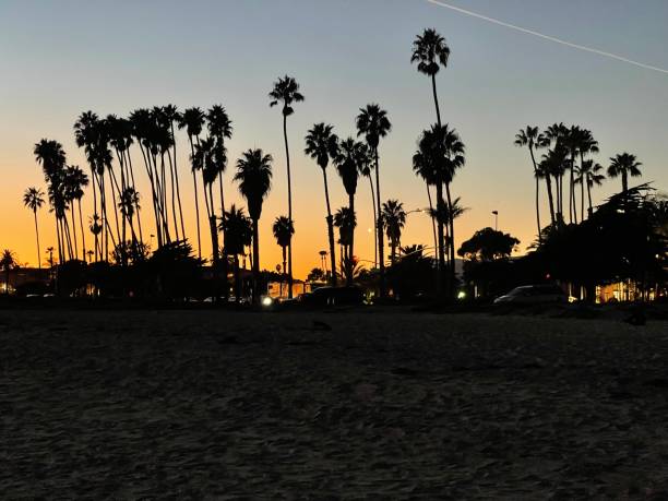 istock Village under palm trees in sunset 1358688575