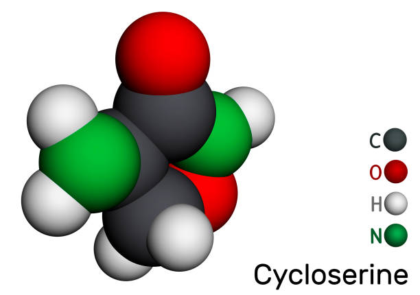 cząsteczka cykloseryny. jest to antybiotyk o szerokim spektrum działania stosowany w leczeniu gruźlicy i niektórych zakażeń dróg moczowych (zum). model molekularny. renderowanie 3d - s stock illustrations