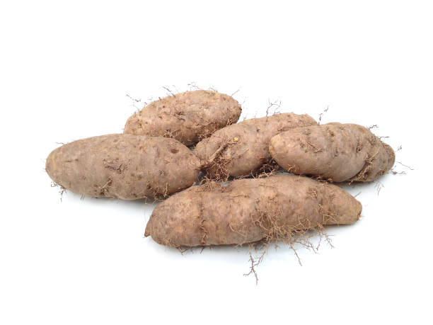 istock lesser yam (Dioscorea esculenta) isolated on white background 1358690354