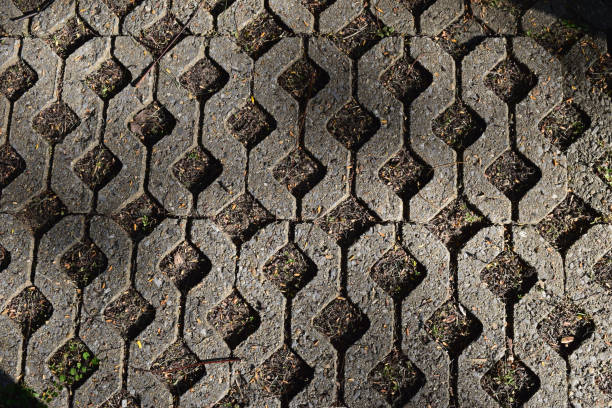 A gray brick concrete stone pavement.