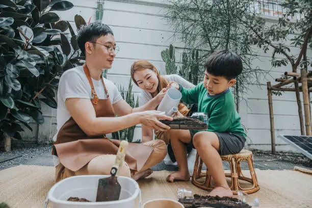 Photo of Happy hour of small family teaching her son watering after placing a seed-stock photo