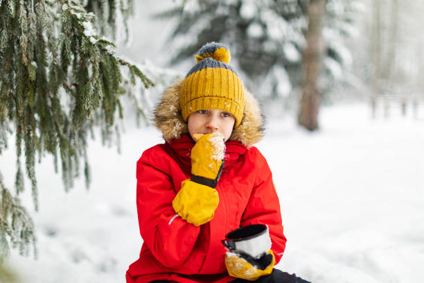 istock Little boy drinking tea in winter forest 1358700924