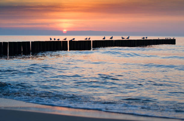 costa do mar ao pôr do sol - rewal - fotografias e filmes do acervo