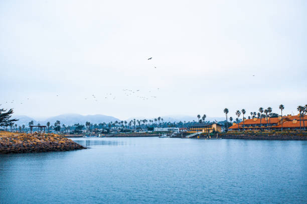 istock Ventura California 1358705611