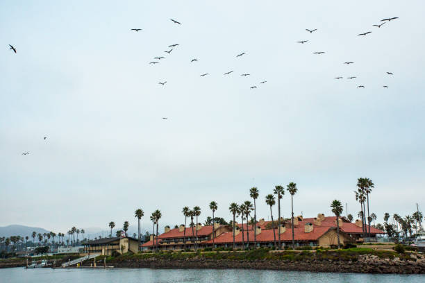 istock Ventura California 1358705614