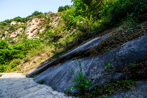 Beijing's virgin forests, natural scenery, valleys, jungles, rocks, streams, tree-lined paths