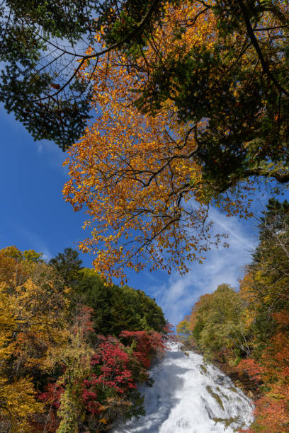 istock Yutaki Falls in Nikko National Park 1358707490