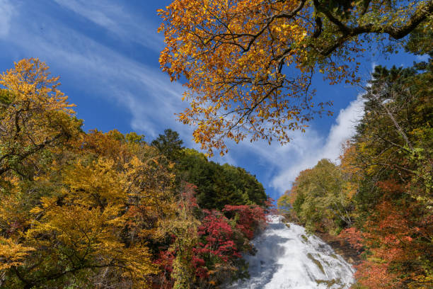 istock Yutaki Falls in Nikko National Park 1358707562