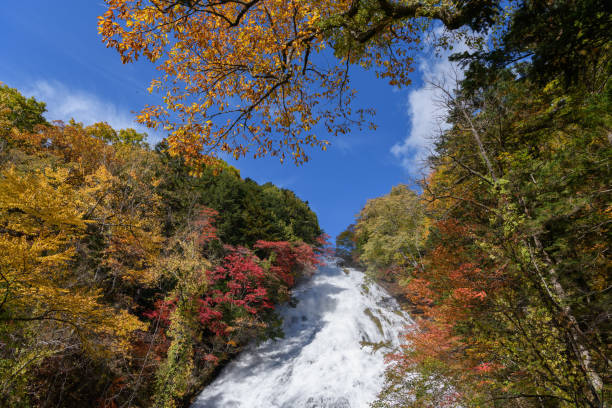 istock Yutaki Falls in Nikko National Park 1358707594
