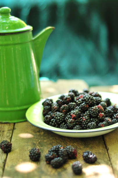 Ripe black mulberry in a bowl