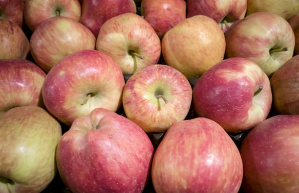 istock Fresh large red apples in the box 1358715097