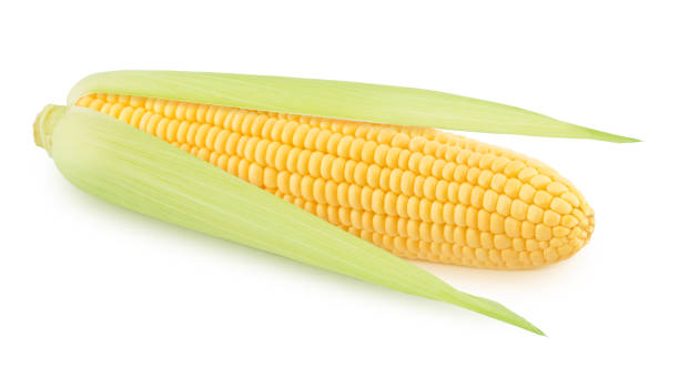 istock Fresh whole half peeled corn cob isolated on a white background. 1358715328