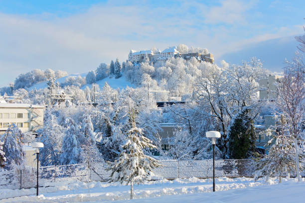 렌츠부르크, 아르가우 주, 스위스 - switzerland snow winter swiss culture 뉴스 사진 이미지