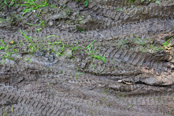 http://kuaijibbs.com/istockphoto/banner/zhuce1.jpg 