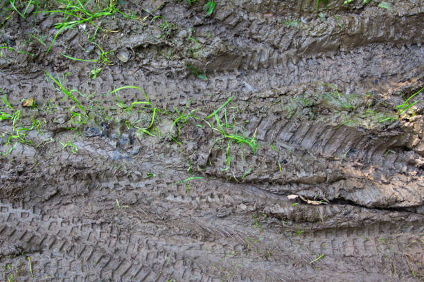 tire tracks of bicycles creating mud in the grass - mud road tire track footpath imagens e fotografias de stock